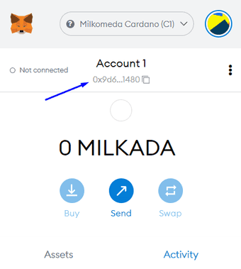 Copy Address Metamask